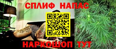 дурь Берёзовский