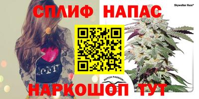 ECSTASY Бийск