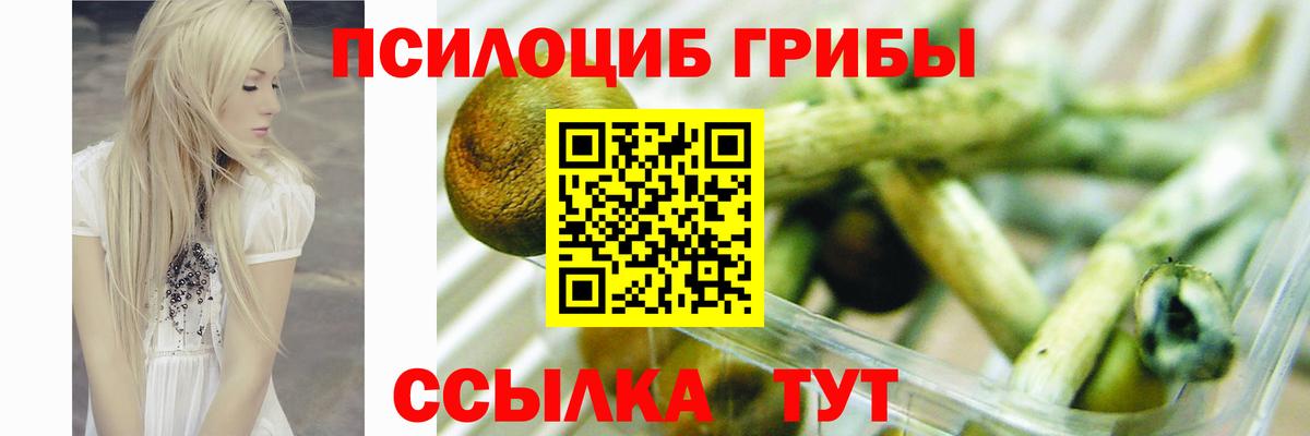 Златоуст  как найти   Вход с VPN  Галлюциногенные грибы GOLDEN TEACHER 